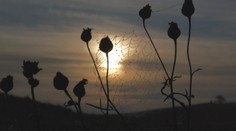 Čaká nás budúci týždeň babie leto? Teploty by sa mohli vyšplhať k 20 stupňom Celzia