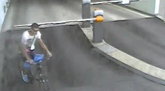 Policajti v Šali klepnú zlodejom po prstoch. Budú používať unikátnu pastu