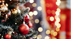 Trendy tohtoročných Vianoc: Ak chcete byť IN, na stromčeku musíte mať tri veci