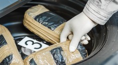 Colníci v Rotterdame našli medzi banánmi viac ako tonu kokaínu