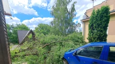 FOTO: Škody po búrkach na východe. Zostali vyvalené stromy aj strhnuté strechy