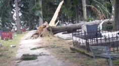 Po skaze na cintoríne v Štítniku tam majú netradičný úkaz