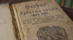 Ako sa liečila chrípka v minulosti? Budete prekvapení