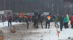 Muž, ktorý udieral koňa, to ľutuje: Sloboda zvierat hovorí o týraní