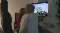 COVID-19 pod mikroskopom: Ukážeme vám obrázky zo sveta, ktorý je voľným okom neviditeľný