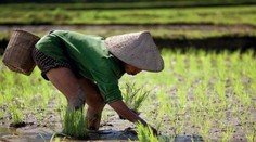 Veľké odhalenie: Neuveríte, na čom testovali Američania biologické zbrane