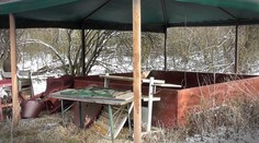 Navštívili sme miesto neďaleko Bratislavy, kde sa roky údajne konali nelegálne psie zápasy