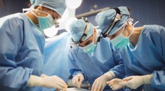 Žil s ňou iba dva mesiace. Zomrel prvý príjemca geneticky upravenej prasacej obličky