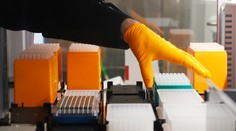 Konzílium odborníkov sa zastalo našich inštitúcií: Hanlivé vyjadrenia presahujú hranicu tolerancie