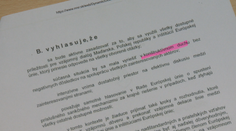 Slovensko sa zastalo vládnych politikov v Maďarsku a Poľsku aj napriek škandálom