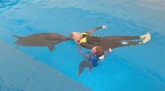 Neuveriteľná terapia s delfínmi, ktorá mení životy. Prekvapí vás, čo zažil náš redaktor