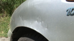 V Levoči vyčíňa pes. Zničil niekoľko áut, policajti si s ním nevedia dať rady