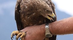 Orol Arnold sa blíži. Na Liptove ho už čaká partnerka