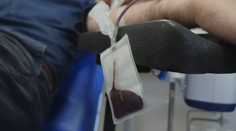 Británia žije škandálom s darovanou krvou. Pacientom podali infikovanú krv, niektorí na následky zomreli