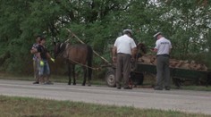 Kuriózna nehoda na juhu Slovenska: Vodička zrazila konský povoz