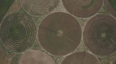 Kruhy na poliach na juhu Zemplína. Dôvod je úplne prozaický