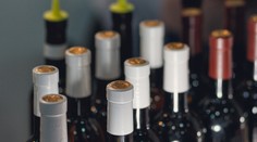 Každú piatu smrť na Slovensku zapríčiní alkohol. Odborník vysvetľuje, v čom spoločnosť zlyhala