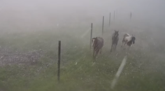 VIDEO: Silu búrky v Závadke ukazujú zábery z jazdeckej školy
