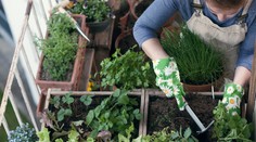 Túžite po vlastnej záhradke na balkóne? Poradíme vám, ako si ju ešte stíhate vytvoriť