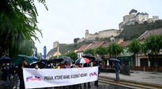 SaS znepokojuje, že KOZ podporuje referendum za predčasné voľby