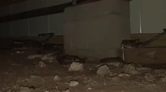 VIDEO: Hrozivý nález pod domom. Majiteľ tam našiel desiatky jedovatých štrkáčov
