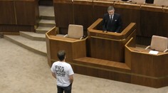 Tri Ficove dôkazy o tom, že Matovič používa biele kone