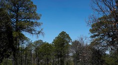 V Mexiku zavraždili kandidáta na starostu, ďalšieho zranili