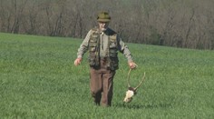 Jeleňa zastrelili brokovnicou, napriek tomu, že lovecká sezóna dávno skončila