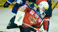 Cíger strieda brankárov, Švehla telefonoval s Tatarom