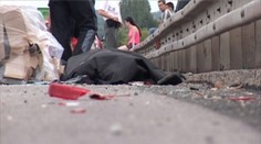 Keď sa vám pokazí auto na frekventovanej ceste, mali by ste dodržiavať tieto zásady