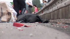 Keď sa vám pokazí auto na frekventovanej ceste, mali by ste dodržiavať tieto zásady