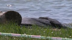 Zo sútoku Dunaja a ramena Zuzana vytiahli hasiči mŕtvolu v hroznom stave