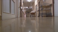 Žena sa mala nakaziť svrabom v breznianskej nemocnici