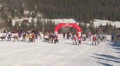 Nadšenci psích záprahov obsadili bežecký areál v najchladnejšej lokalite Slovenska