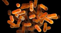 Ďalšia obeť čierneho kašľa v Česku. Ochoreniu podľahol mesačný novorodenec