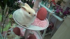 Vieme, aká farba bude tento rok dominovať Veľkej noci