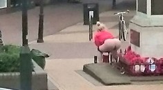 Fotka, ktorá pobúrila Britániu. Pri pamätníku si uľavila v tom najhoršom možnom čase