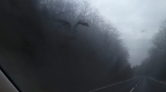 Bol to úkaz z druhého sveta? Mirovi sa pri Krupine zjavila neznáma tvár