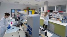 Ďalší americký úrad tvrdí, že SARS-COV-2 unikol z laboratória. Sabaka: Je to možné, ale uprednostňujem inú teóriu