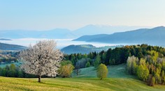 Chladným dňom odzvonilo. Posledný aprílový víkend bude s nádychom leta