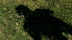 Inšpekcia zistila, že policajti svedka "cez palubu" nehodili
