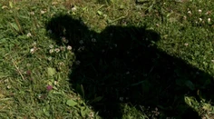 Inšpekcia zistila, že policajti svedka "cez palubu" nehodili