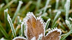 Slovensko potrápia prízemné mrazy aj v ďalších dňoch