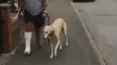 Muž minul na veterinárne vyšetrenia stovky dolárov. Keď zistil, čo je jeho psovi, zostal v šoku