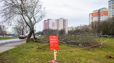 Začali stavať dva dôležité mosty na novej električkovej trati v Petržalke