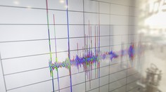 Zemetrasenie vystrašilo našich susedov. Otrasy bolo cítiť aj na Slovensku