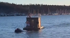 VIDEO: Tesla skončila v nórskom fjorde, posádke prišla na pomoc plávajúca sauna