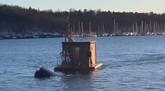 VIDEO: Tesla skončila v nórskom fjorde, posádke prišla na pomoc plávajúca sauna