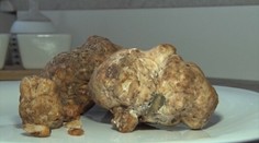 Čínska ostrokyslá polievka