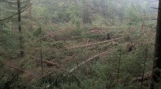 Obľúbená Žiarská dolina priťahuje smolu